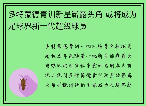多特蒙德青训新星崭露头角 或将成为足球界新一代超级球员