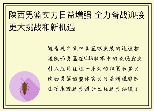 陕西男篮实力日益增强 全力备战迎接更大挑战和新机遇
